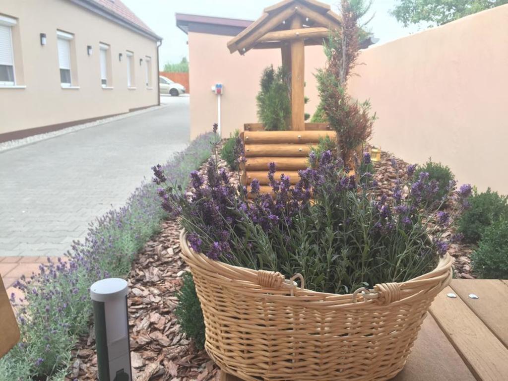 Levendula Vendeghaz Hotel Győr Exterior foto